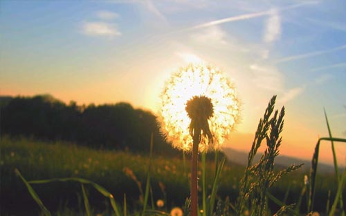 考研调剂要准备什么