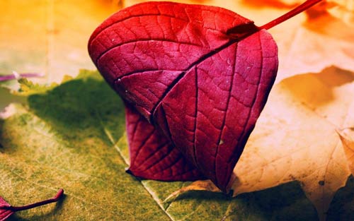 本科电子商务考研方向