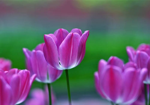 本科工业设计考研方向