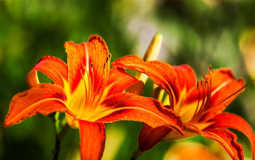 应用化学本科考研方向