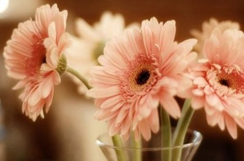 本科生物工程考研方向