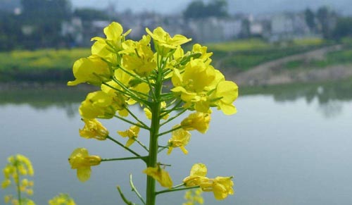 专业课零基础考研复习方法