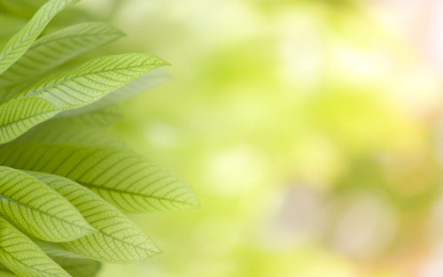 药学本科考研方向