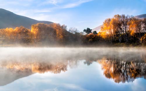 本科网络工程考研方向