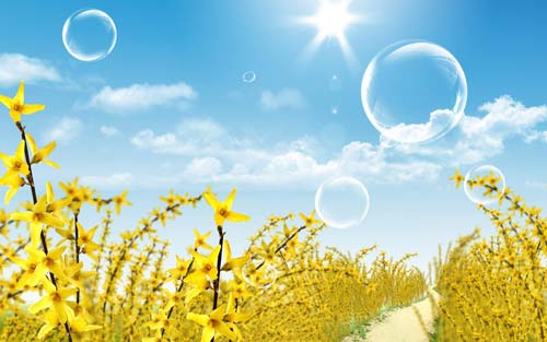 本科物理专业考研方向