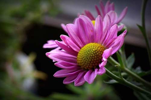 研究生考试改革