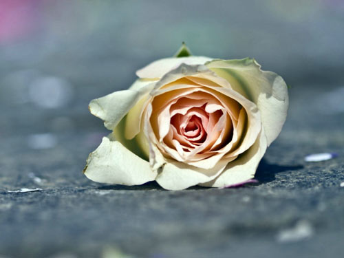 本科物理学考研方向