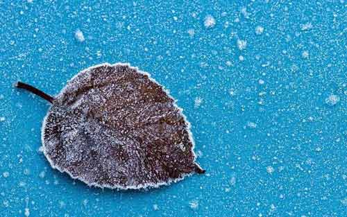 本科会计专业考研方向