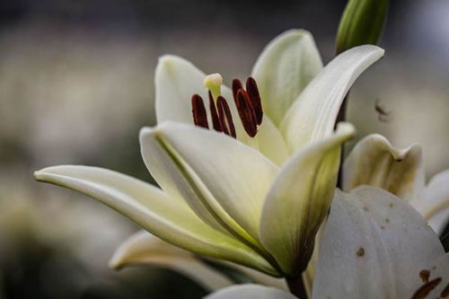 本科通信工程考研方向