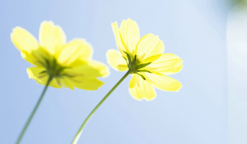 本科材料专业考研方向