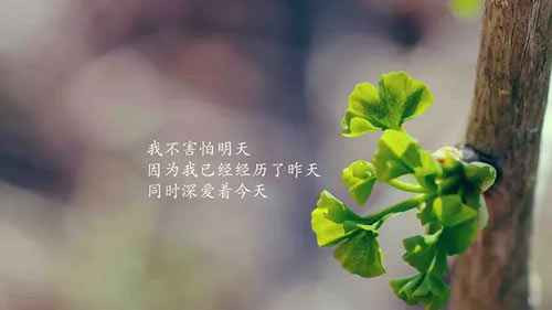 市场营销考研和就业方向