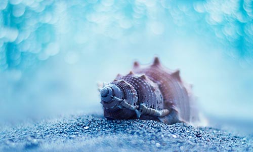 本科机械考研方向