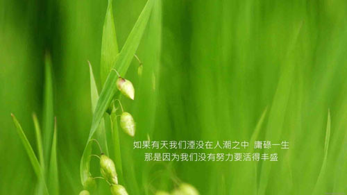 如何给考研人减压