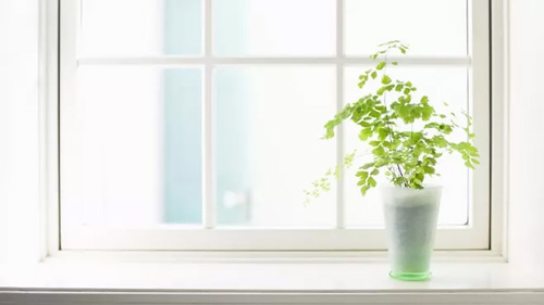 投资学出国考研方向