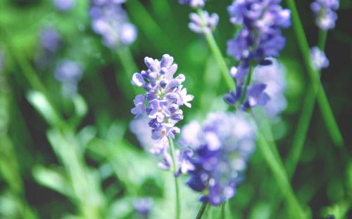 新闻传播学考研方向