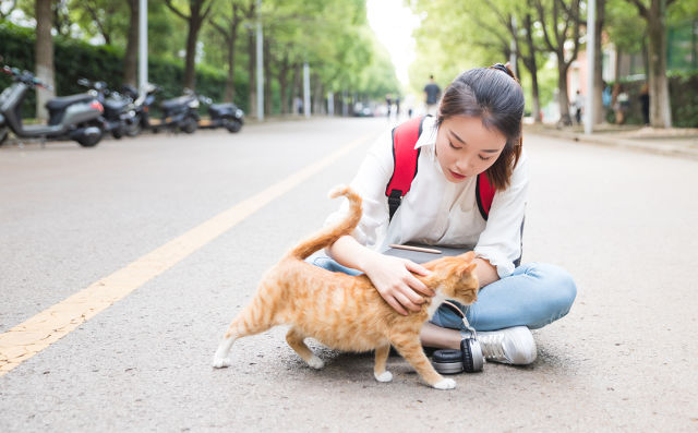 考研专业课是什么