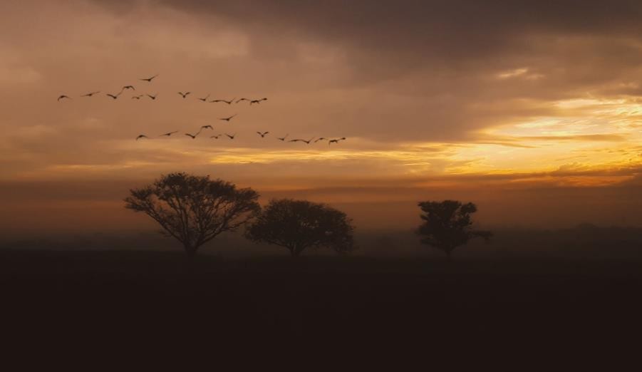 苏州碳排放管理师培训