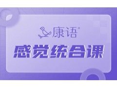 济南儿童感觉统合课