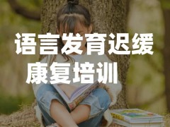 济南有哪些意志力培训中心(怎么才能提高记忆力)