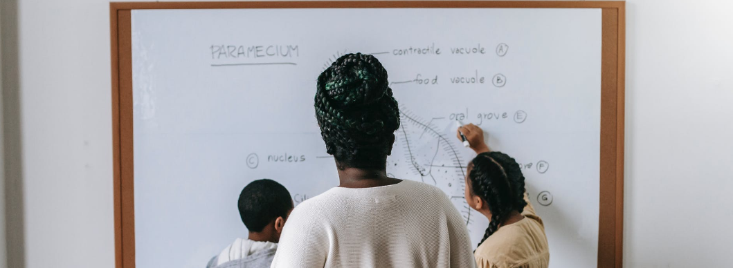 苏州小学语文辅导