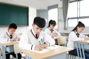 武汉2023年高考报考志愿