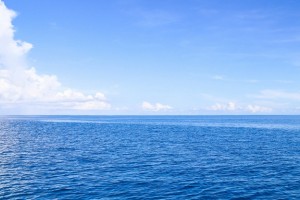 湖北2023高考生物解析