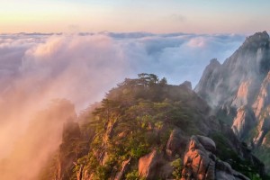 南通小学数学辅导收费