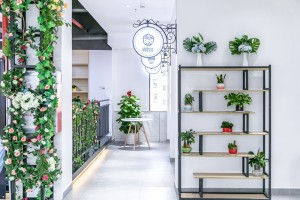 成都龙泉驿咖啡创业培训班(去哪可以学奶茶制作)