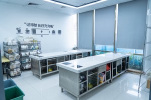 广州天河区西点烘焙培训学校排行榜(选择西点培训学校的好处)