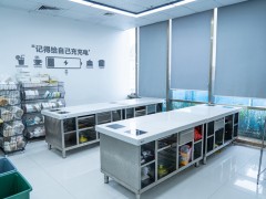 广州白云区人气好的西点烘焙培训班推荐(在哪里学做蛋糕手艺好)