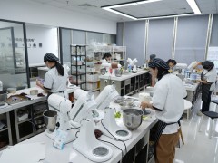 东莞东城烘焙培训哪家好(学烘焙蛋糕有-途吗)