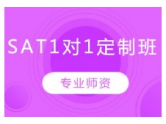 南京SAT名师1对1培训班