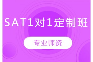 天津SAT名师1对1培训班