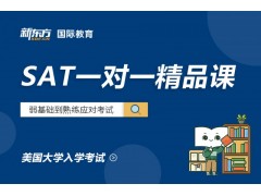 杭州新东方SAT1对1精品课