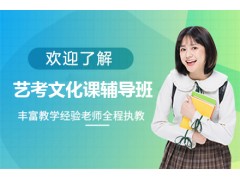 北京艺考1对1培训班