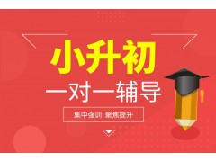 荆州小升初1对1培训班