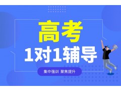 南京高考1对1培训班