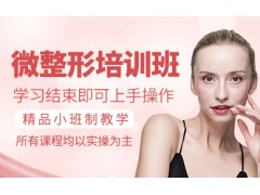 北京微整医美培训班