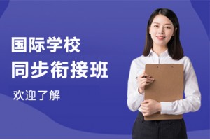 广州国际学校同步衔接班