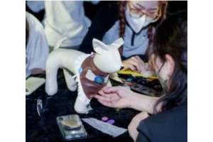 宠物服装设计课程开始招生