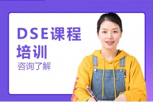 成都dse入学培训班