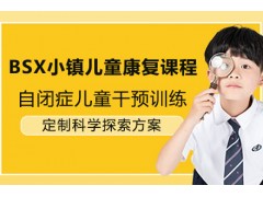 上海BSX小镇儿童康复课程