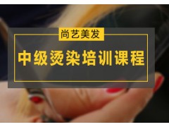 广州中级染烫培训课程
