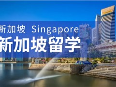 国内有实力的新加坡留学中介机构名单榜一览
