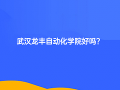 武汉龙丰自动化学院好吗？