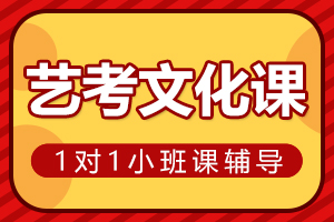 达州艺考文化课辅导