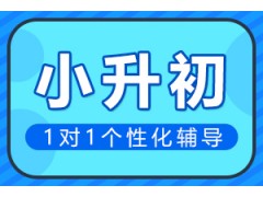 南阳小升初一对一辅导