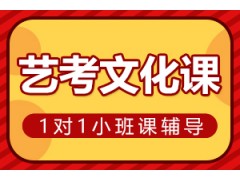 郑州艺考文化课辅导