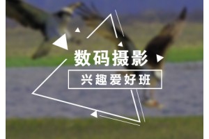 上海数码摄影兴趣班