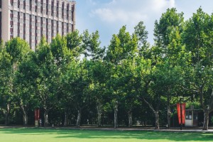 深圳学大短期精品小班课 带你感受情怀教学